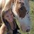 Bridgette Seekell Howard's profile image