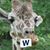 Padraig Cahill's profile image