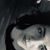 Anita Bilaver's profile image