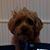 Penny Ruffian's profile image
