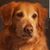 Alex Mann's profile image