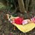Dedra Williams's profile image