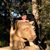 Vanessa Monteiro's profile image
