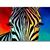 Carolyn T Trim's profile image