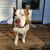 Rexford Harrison O'Corr's profile image