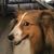 Gregg Kimbrell's profile image