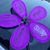 John T Jurkiewicz's profile image