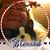 Lynette Holladay's profile image