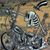 Bernie Boucher's profile image