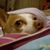 Susan Webster's profile image