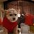 Mary Mensing Blanchard's profile image