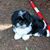 Lynn Jackson's profile image