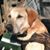 Reed Miller Clark's profile image