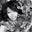 Carlis Lollie's profile image