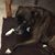 Will Stoddard III's profile image