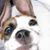 Buster Baker's profile image
