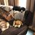 Sue Sweitzer's profile image