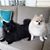 Barbara L Brossman's profile image