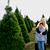 Tami Ringler's profile image