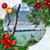 Sue Knasiak's profile image