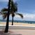 Linda Bradshaw Lewis's profile image