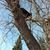 Cynthia Mauldon Kokoulen's profile image