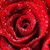 Debby Chaput Lange's profile image