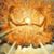 Jennifer Rohlfing's profile image