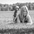 Janice Anne Straley's profile image