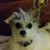 Phyllis Underwood Parsons's profile image