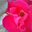 Bridget Lovely's profile image