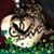 Michelle Haselhuhn-Craft's profile image
