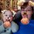 Kimberly Leeson's profile image