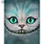 Amy Starr Minard's profile image