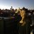 Kristine Fink's profile image