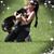 Kristina Shaw Whetzel's profile image