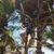 Samantha Ciaramitaro's profile image