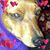 Lizzie Langston's profile image