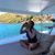 Nivia Weitzner's profile image