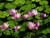 Tabitha M.'s profile image