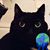 Esther Diehl's profile image