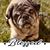 Samantha Nauschuetz's profile image