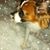 Kathy Baril's profile image
