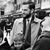 Guillermo Faccioli's profile image