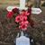 Randy Acklin's profile image