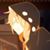 Kaleigh Meyer's profile image