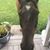 Rosemary Schiavi's profile image