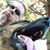 Michael Williams's profile image
