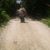 Treasa Brown's profile image