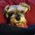 Michelle Cook's profile image